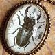 Beetle Juice Necklace