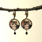 Brown Round Kittiy Earrings