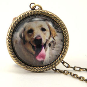 Pet Photos Into Family Heirlooms