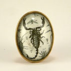 Scorpion Cocktail Ring