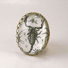 Scorpion Cocktail Ring