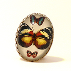 Moths Brass Petite ring